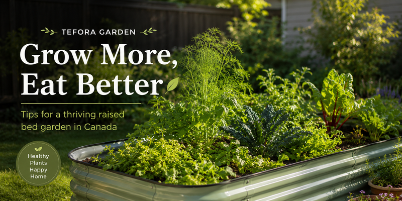 Why I Started Using Seedlings Instead of Seeds in Canada 🌱