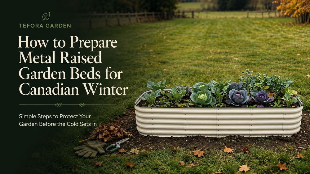 Metal raised garden bed in Canadian backyard being prepared for winter with mulch layer added over soil after fall harvest