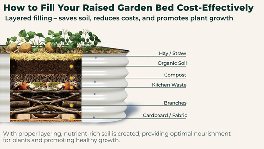 Don't Buy 20 Bags of Soil: The "Lasagna Method" to Fill Your Raised Bed for Cheap