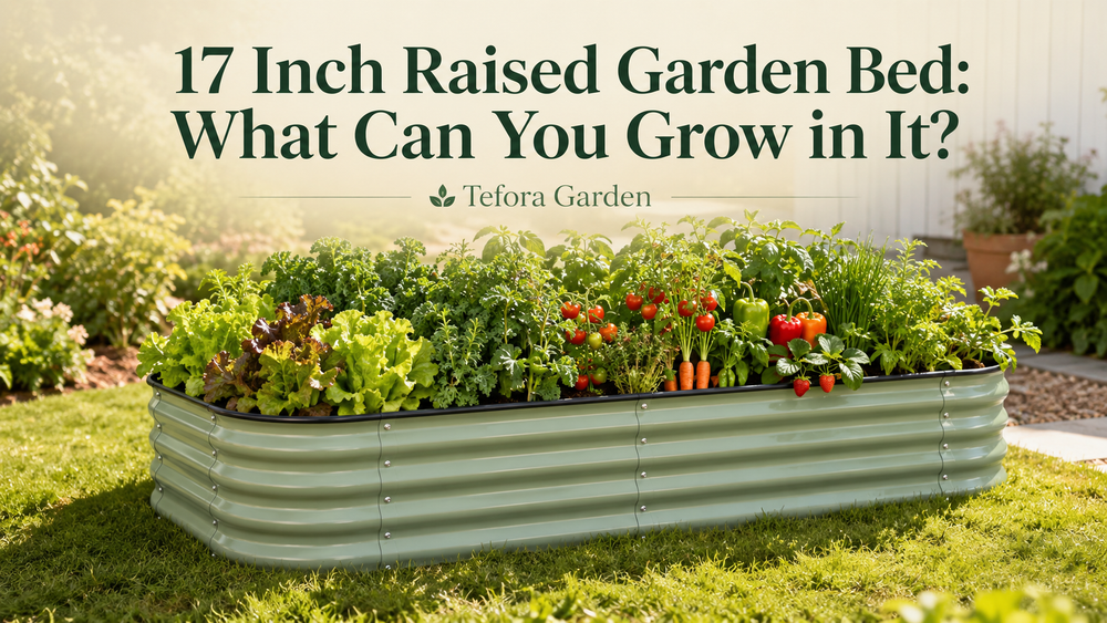 17 Inch Raised Garden Bed: What Can You Grow in It?