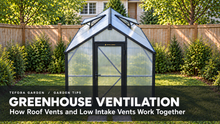 Tefora Garden greenhouse with two open roof vents; greenhouse ventilation guide